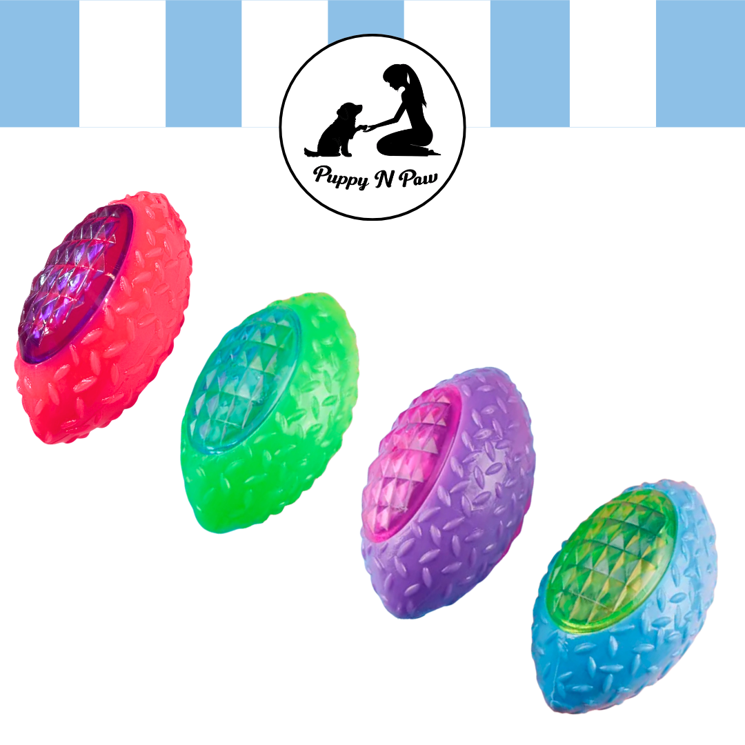 Puppy N Paw Small Rugby Ball Bite Resistant for Pets