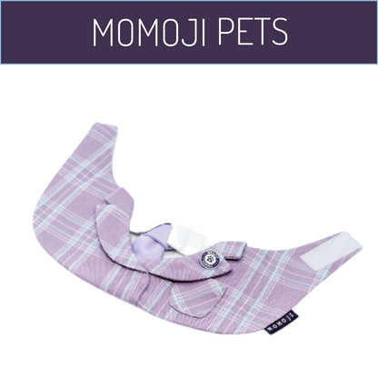 Momoji St Edan Boys Bib - Lavender Purple
