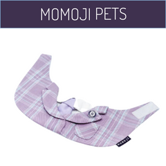 Momoji St Edan Bib ชุดสุนัข ชุดแมว ชุดสัตว์เลี้ยง ผ้าพันคอสุนัข ชุดนักเรียน สีม่วง