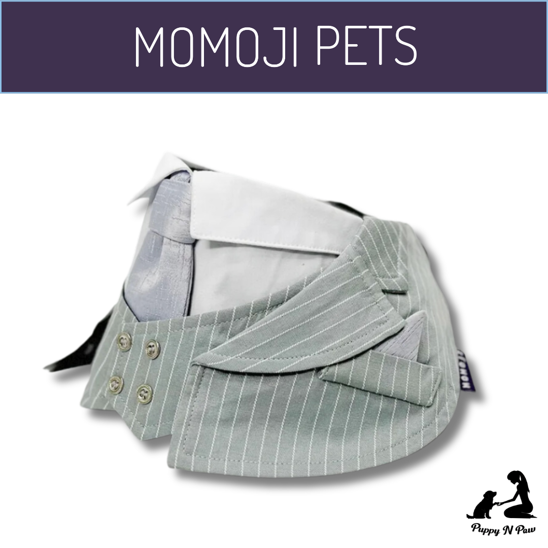 Momoji Queensway Bib ผ้าพันคอสุนัข ผ้าพันคอสัตว์เลี้ยง ชุดสูททางการ