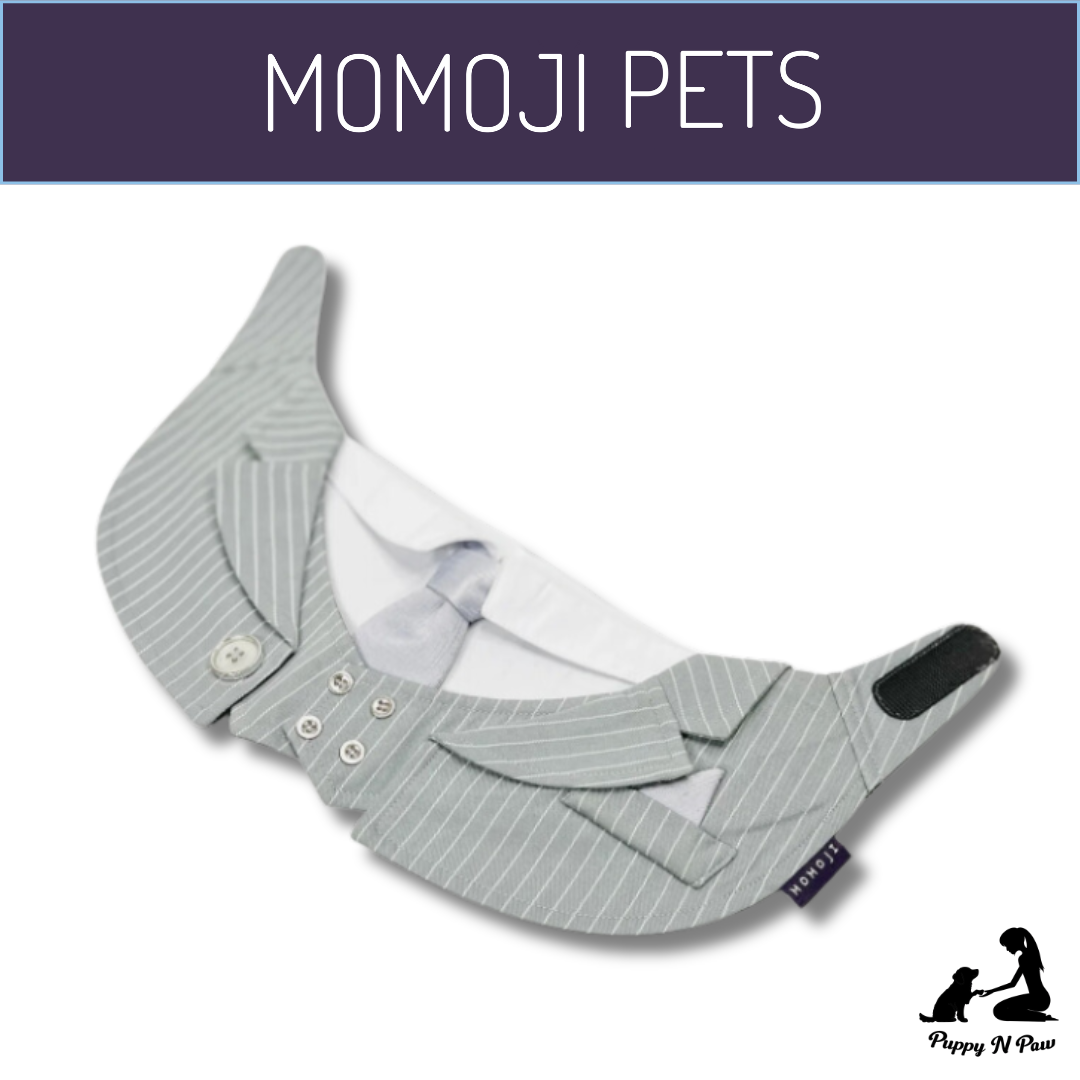 Momoji Queensway Bib ชุดสุนัข ชุดแมว ชุดสัตว์เลี้ยง ผ้าพันคอสุนัข ชุดสูททางการ