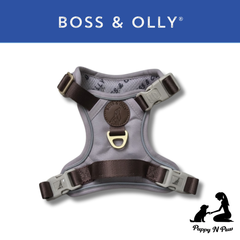 Taupe Collection - Boss & Olly