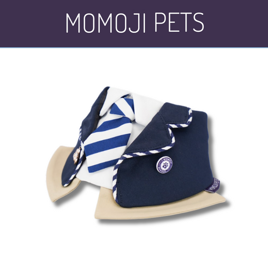Momoji The Hairs boy - ผ้าผันคอสำหรับสัตว์เลี้ยง ชุดนักเรียน