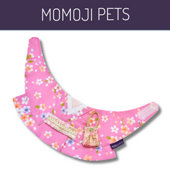Momoji Ueno - ชุดสุนัข แมว ชุดญี่ปุ่น ผู้หญิง สีชมพู สีฟ้า สำหรับสัตว์เลี้ยง
