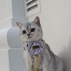 Boss & Olly - White Batik รัดอกสายจูง สำหรับสัตว์เลี้ยง สุนัข แมว Leash and Harness for Dog and Cat