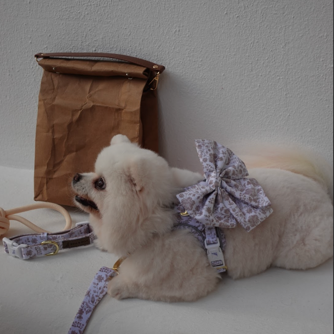 Boss & Olly - White Batik รัดอกสายจูง สำหรับสัตว์เลี้ยง สุนัข แมว Leash and Harness for Dog and Cat