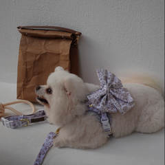Boss & Olly - White Batik รัดอกสายจูง สำหรับสัตว์เลี้ยง สุนัข แมว Leash and Harness for Dog and Cat