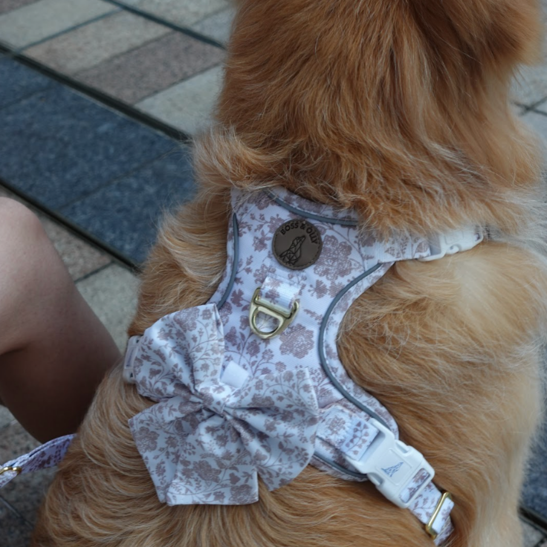 Boss & Olly - White Batik รัดอกสายจูง สำหรับสัตว์เลี้ยง สุนัข แมว Leash and Harness for Dog and Cat