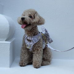 Boss & Olly - White Batik รัดอกสายจูง สำหรับสัตว์เลี้ยง สุนัข แมว Leash and Harness for Dog and Cat