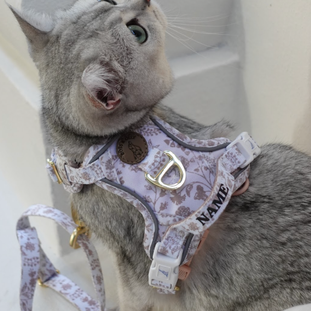 Boss & Olly - White Batik รัดอกสายจูง สำหรับสัตว์เลี้ยง สุนัข แมว Leash and Harness for Dog and Cat