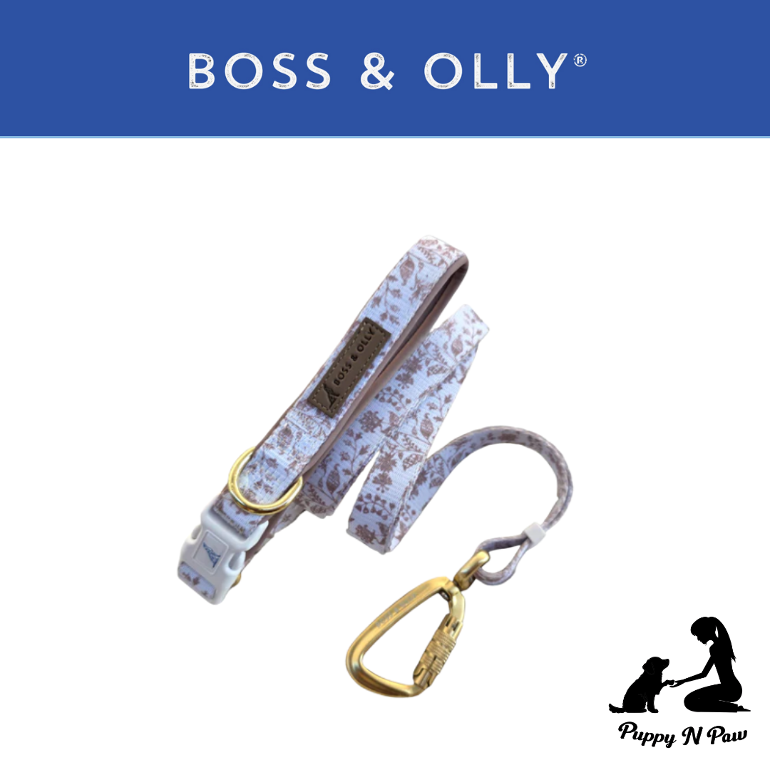 Boss & Olly - White Batik รัดอกสายจูง สำหรับสัตว์เลี้ยง สุนัข แมว Leash and Harness for Dog and Cat