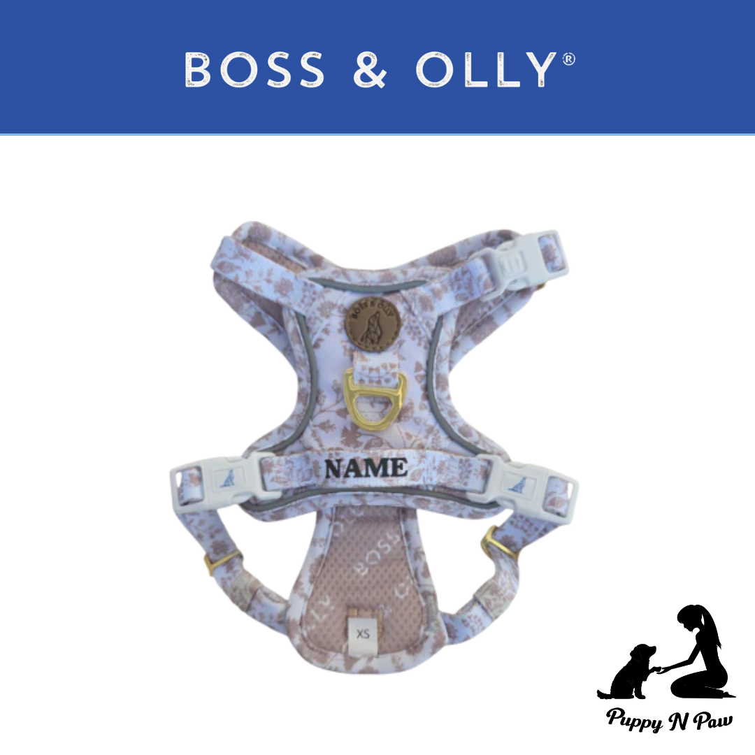 Boss & Olly - White Batik รัดอกสายจูง สำหรับสัตว์เลี้ยง สุนัข แมว Leash and Harness for Dog and Cat