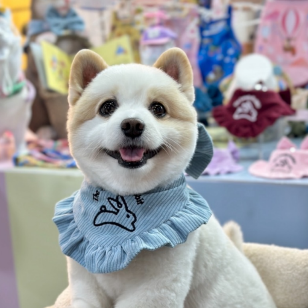 The Lonely Rabbit Fluff Flip Scarf ผ้าผันคอน้องหมาน้องแมว เป็นได้ทั้งโบว์หรือผ้าผันคอ  มี 7 สี