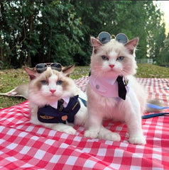 Momoji Air Pilot Bib -  ชุดสุนัข ชุดแมว ชุดสัตว์เลี้ยง ผ้าพันคอสุนัข ชุดนักบิน สีกรม สีขาว