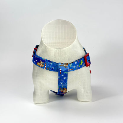 The Lonely Rabbit First Adventure - Sailor Blue