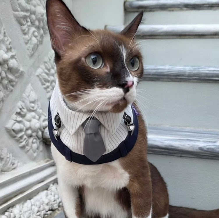 Momoji George Bib - ชุดสุนัข ชุดแมว ชุดสัตว์เลี้ยง ผ้าพันคอสุนัข