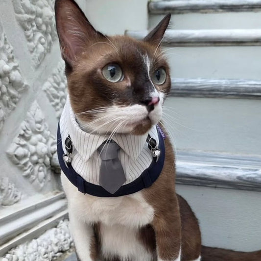 Momoji George Bib - ผ้าพันคอสัตว์เลี้ยง