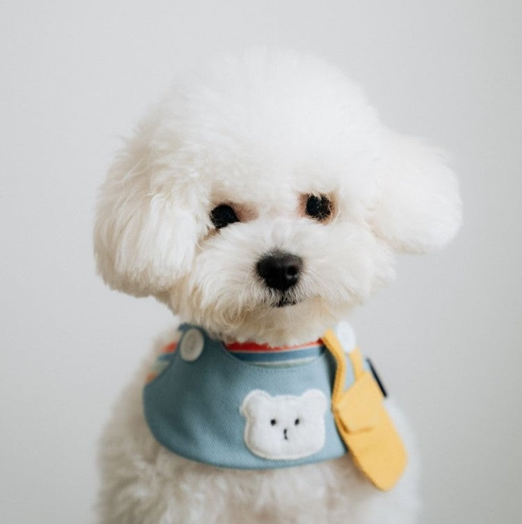 Momoji Bear Bib - ชุดสุนัข ชุดแมว ชุดสัตว์เลี้ยง ผ้าพันคอสุนัข สีพาสเทล